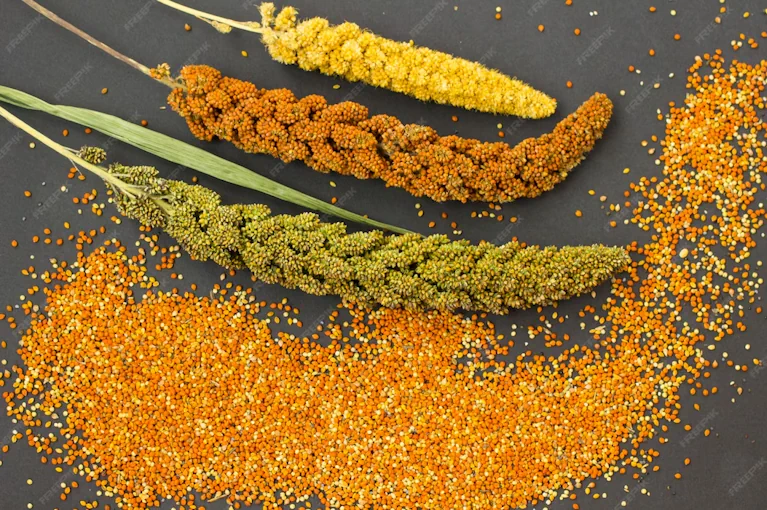 Guinea Millet