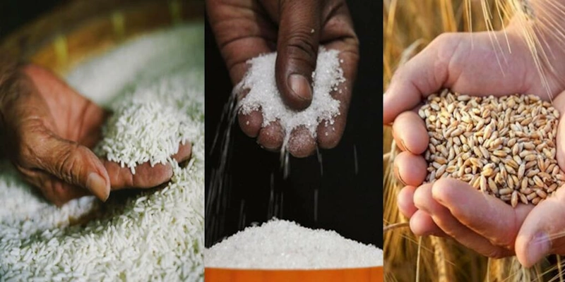 Here at Gurunanak Overseas