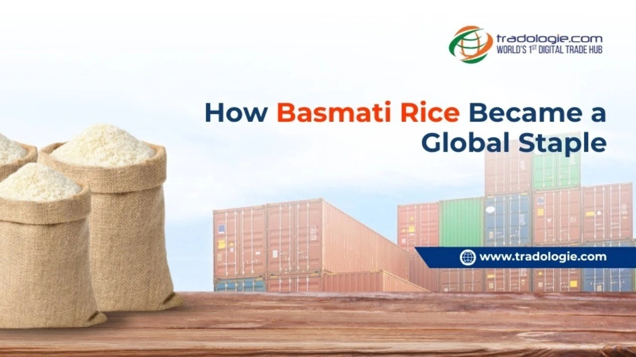 how-basmati-rice-became-global