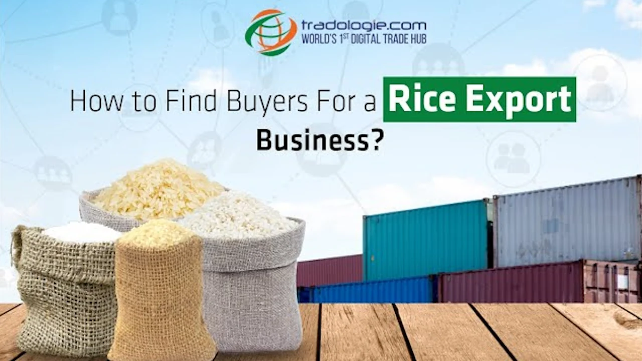 how-to-find-rice-buyers