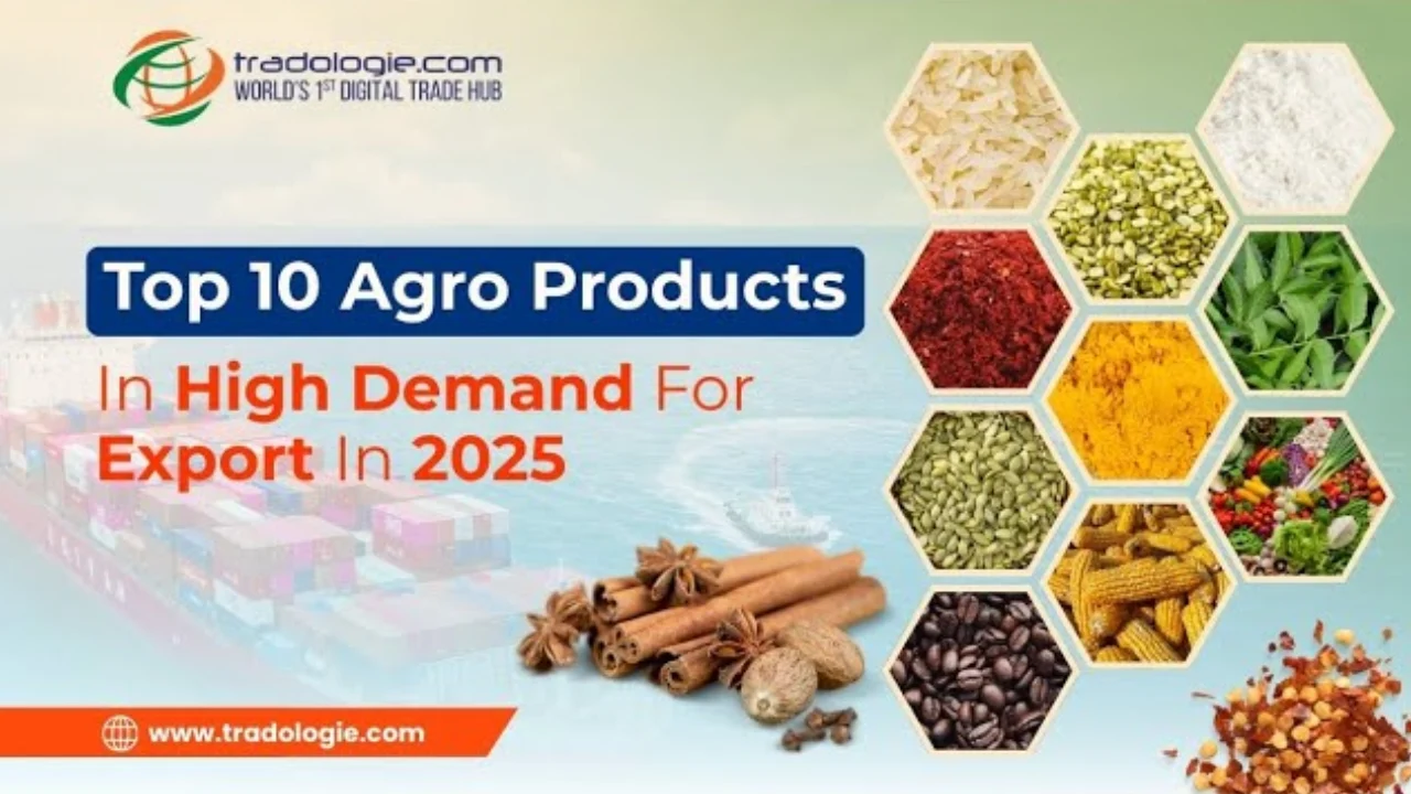 how-to-start-rice-export-business