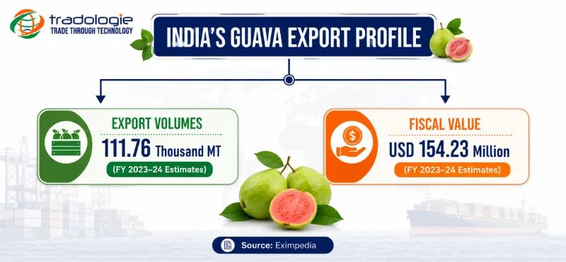 india-guava-export-profile