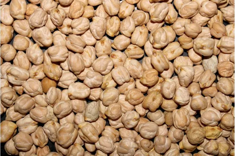 Kabuli Chana (Chickpeas)