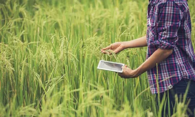 khan-rice-mills-slide