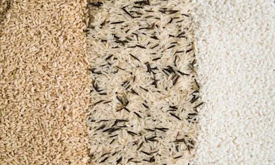 kushwaha-rice-mill-slide