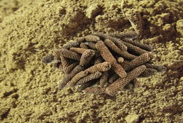 Long Pepper Powder