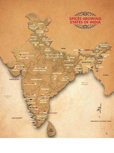 India (Kerala, Rajasthan, Gujarat)