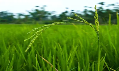 marvi-enterprise-slide2