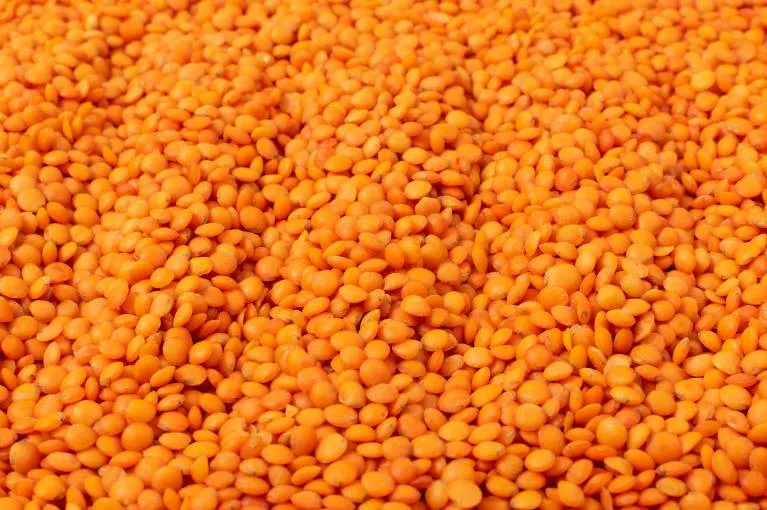 Masoor Dal Red