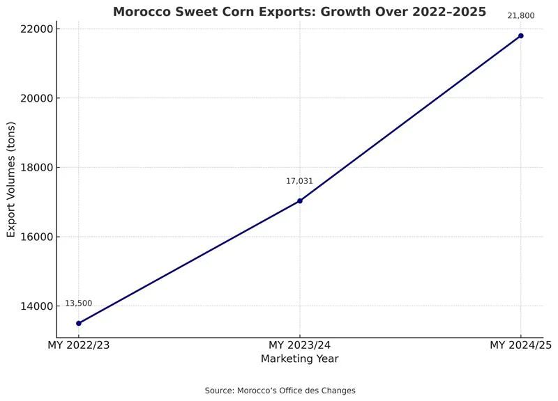 moroccosweetcornexports20222025