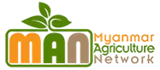 Myanmar Agriculture Network