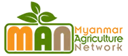 Myanmar Agriculture Network