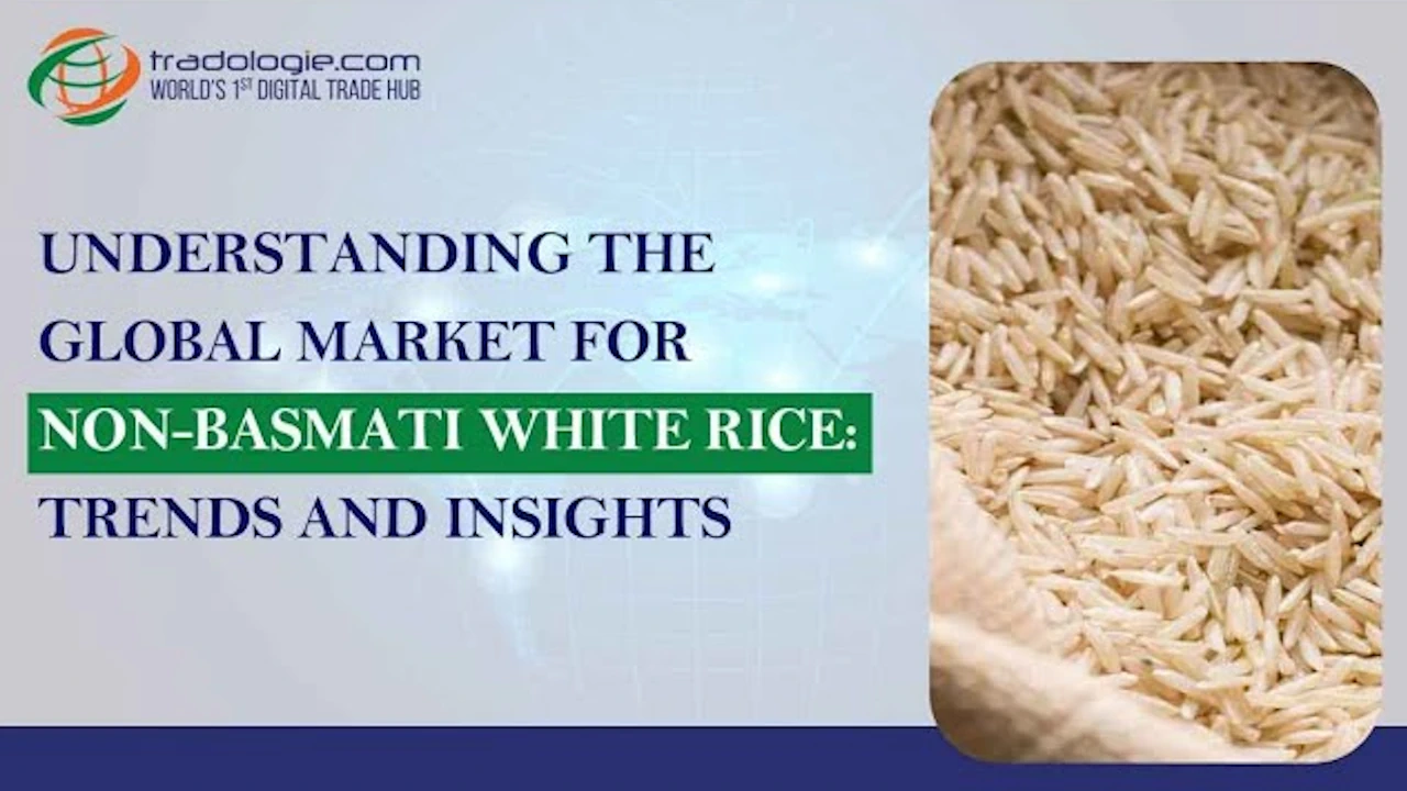 non-basmati-white-rice-market