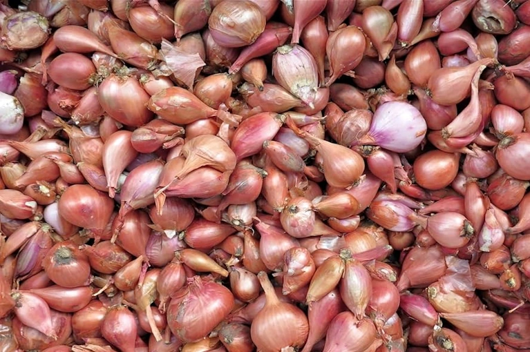 Onion Seeds