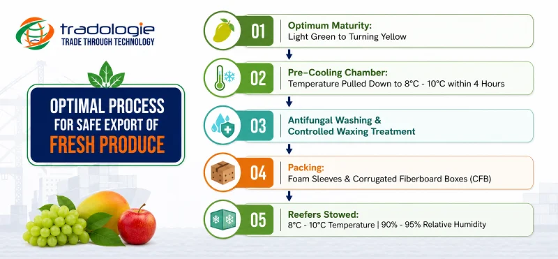 Optimal Process for Safe Export
