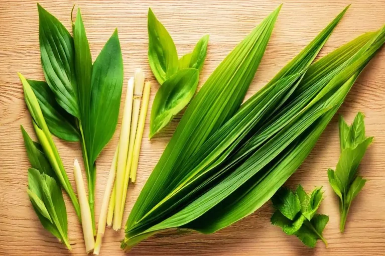 Pandan Leaves