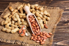 Peanuts / Groundnuts