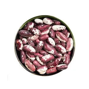 Red Speckled Beans