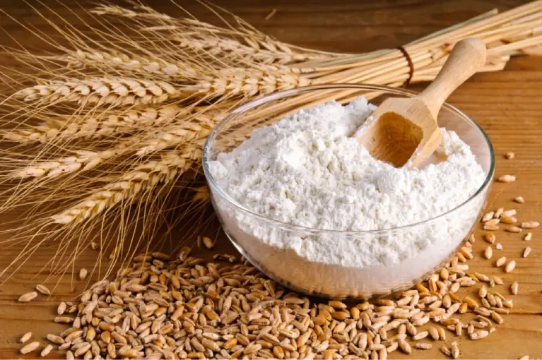 Refined Wheat Flour