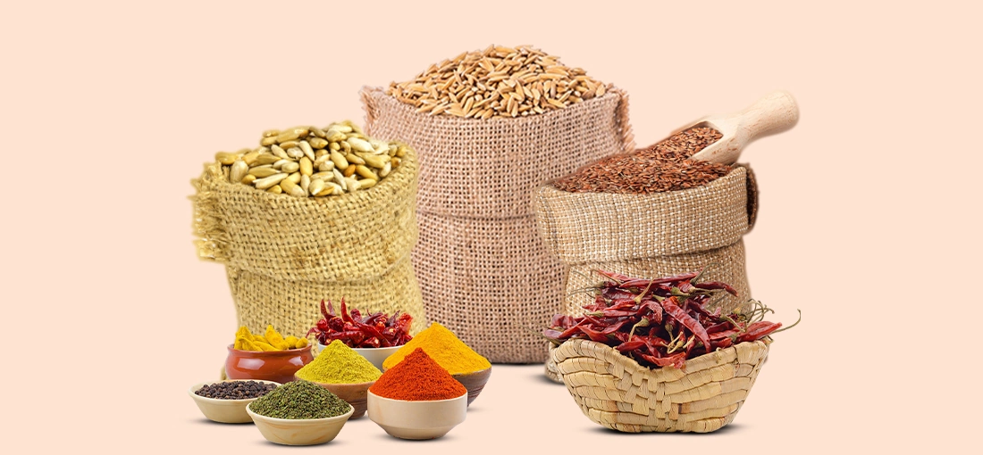 RV IMPEX & LOGISTICS
