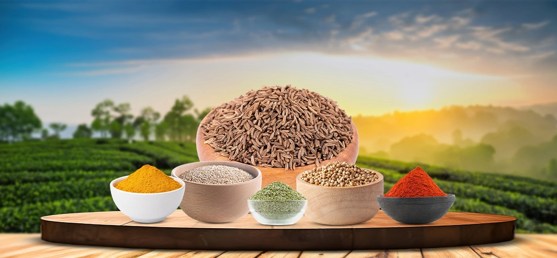 Sai shagun food industries pvt ltd