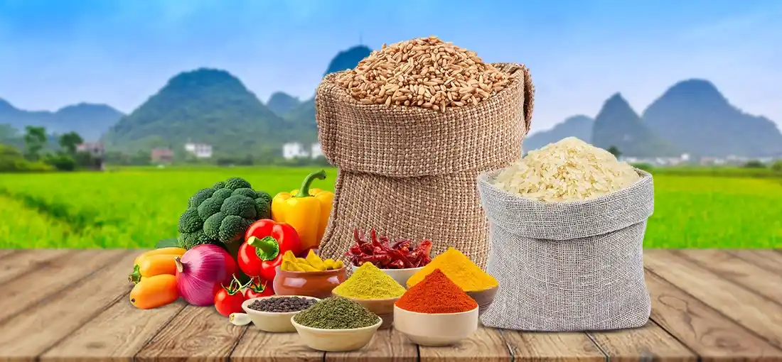 Seap impex private limited