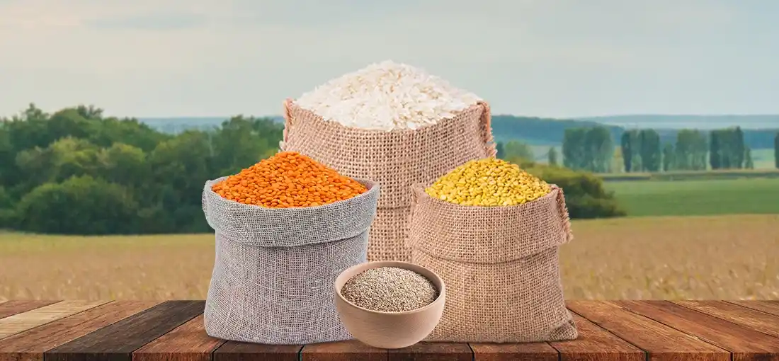 Sharanashree Pure Foods