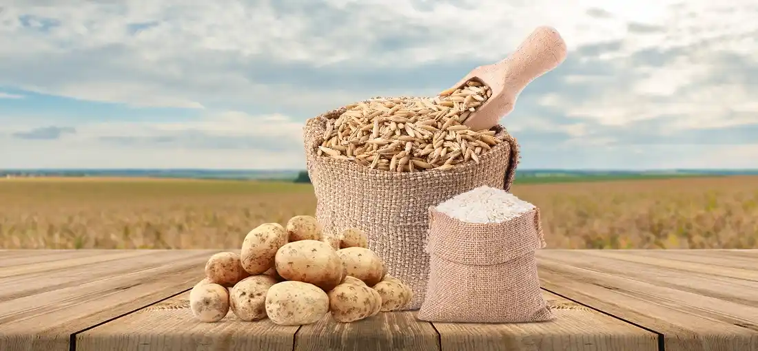 Zaria Industries Private Ltd Banner