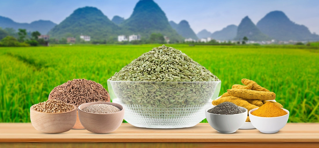 Shree Raghavendra Agro Processors