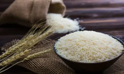 Shri Lal Mahal Group