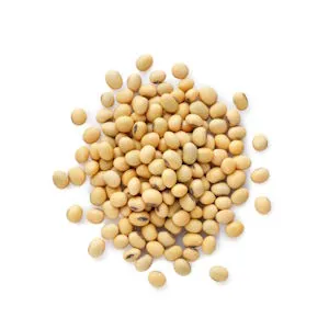 Soya Beans