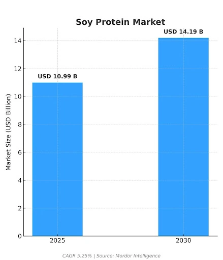 soya protein market