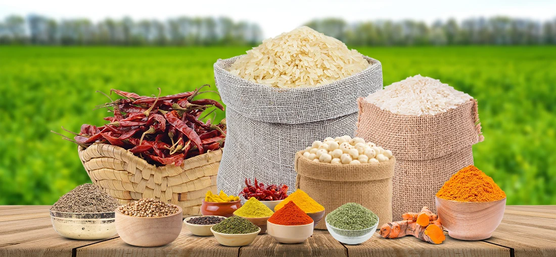 Welcome To Taured Corporation 