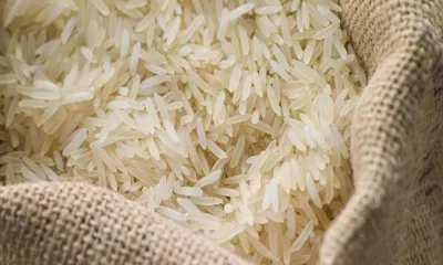 Taw Win Nan Rice Mill