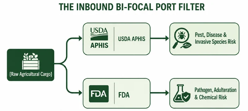 the-inbound-bi-focal-filter