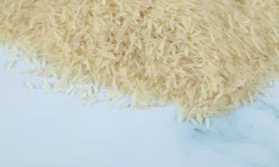 tkr-rice-mill-and-ash-co-ltd-slide