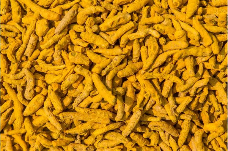 Turmeric Fingers