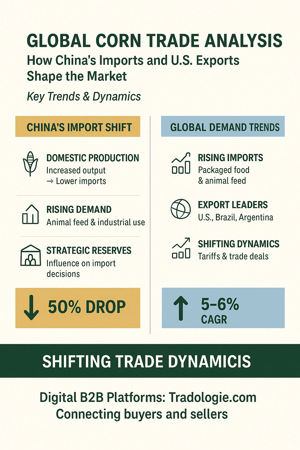 US exports-shapte-the -market