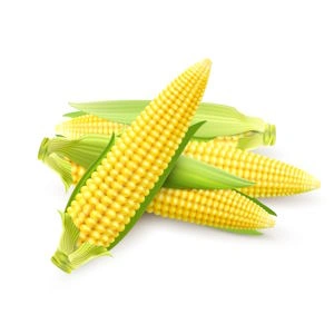 Yellow Maize