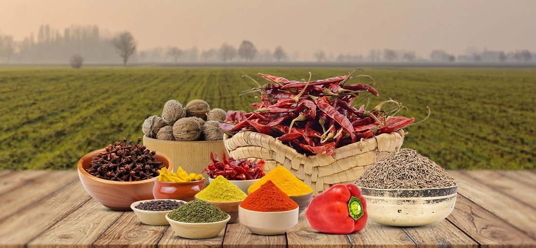 YRS Exim Enterprises