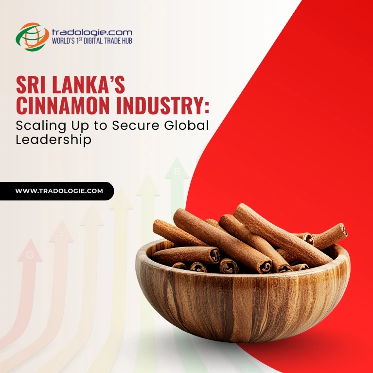 Sri Lanka’s Cinnamon Industry: Scaling Up to Secure Global Leadership