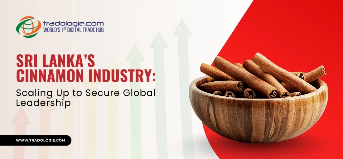 Sri Lanka’s Cinnamon Industry: Scaling Up to Secure Global Leadership