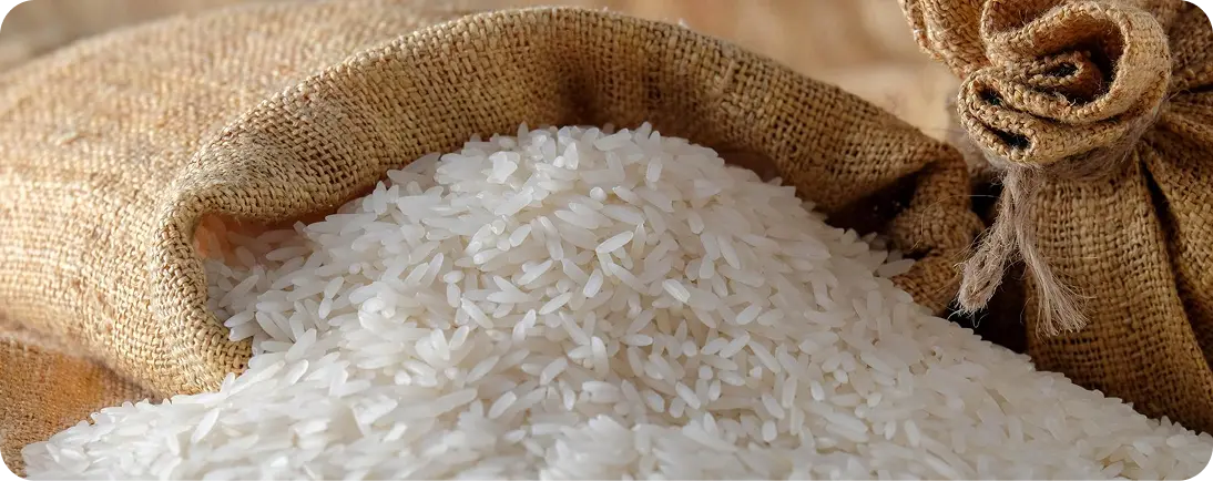 1121 Basmati Rice Suppliers
