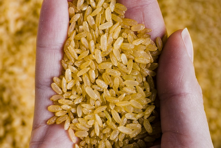 1509 GOLDEN PARBOILED/SELLA BASMATI RICE
