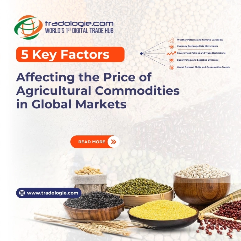5 Key Factors Affecting the Price of Agricultural Commodities in Global Markets