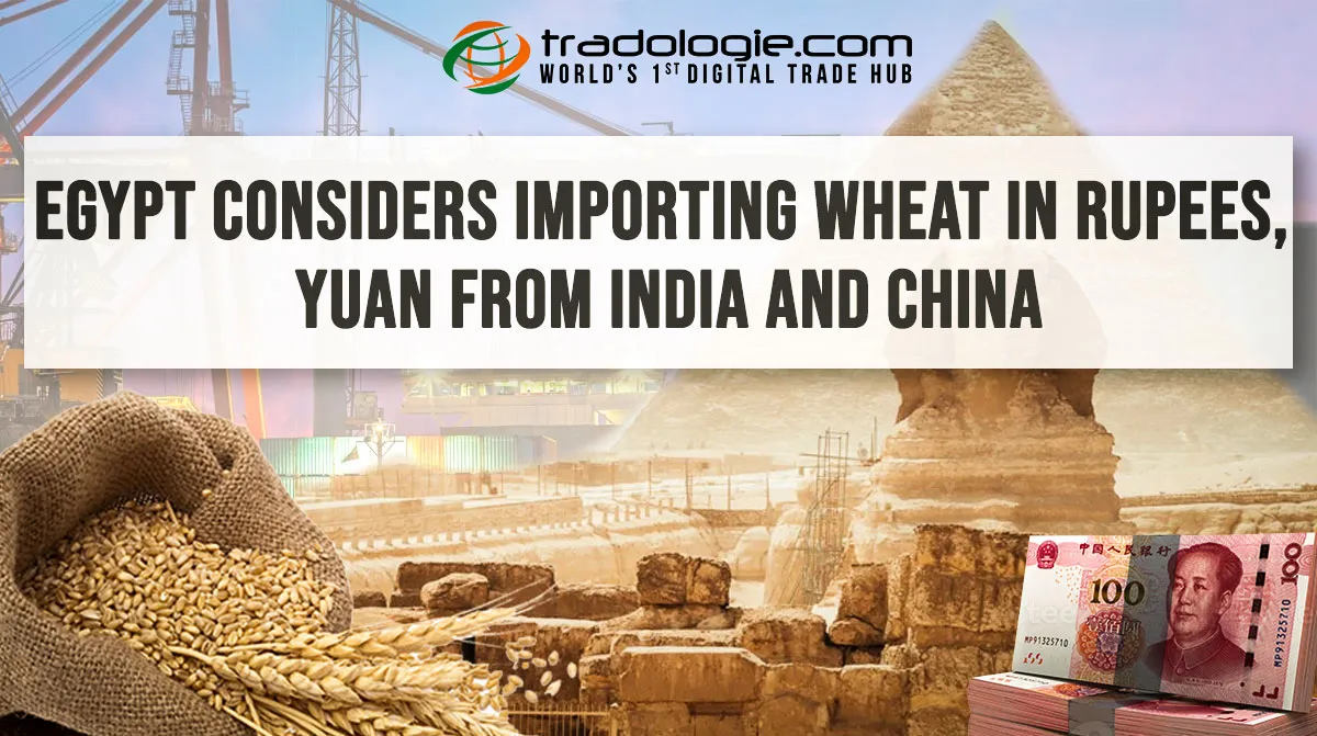 Egypt Considers Importing Wheat In Rupees, Yuan From India And China