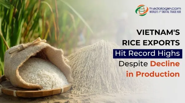 vietnam-s-rice-exports-hit-record-high