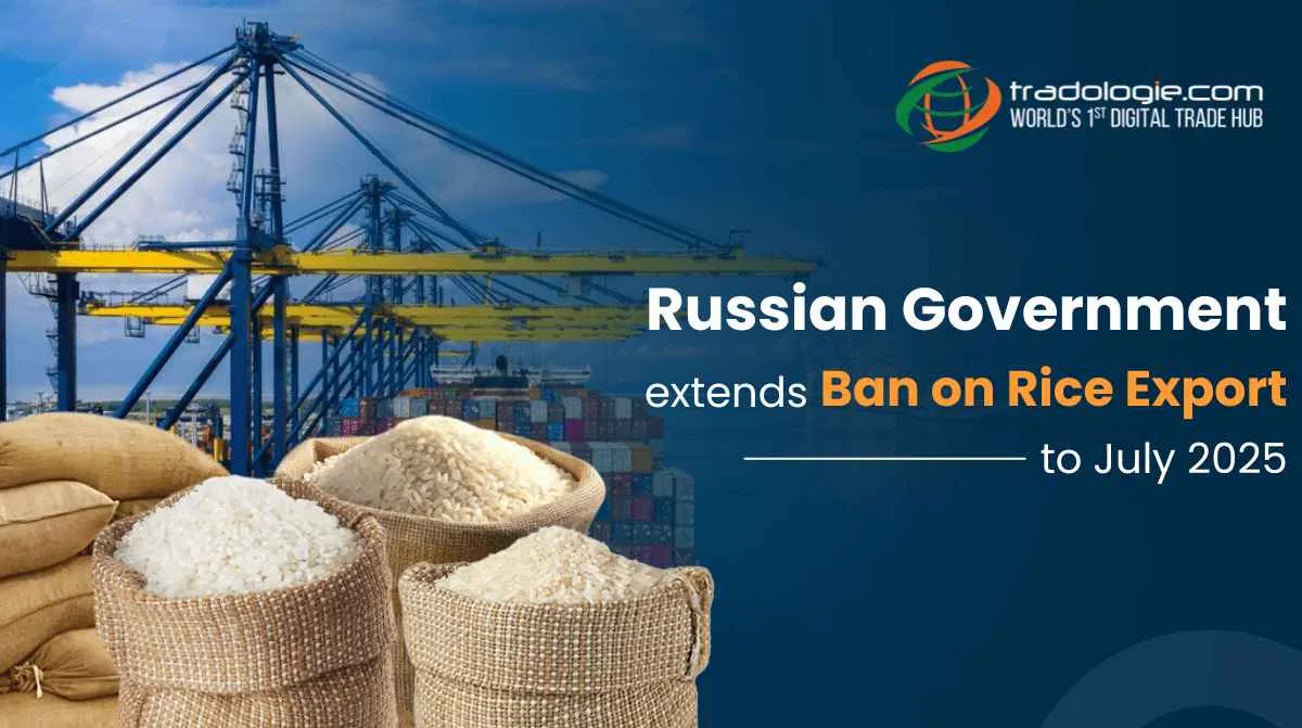 Russian Government Extends Ban on Rice Exports to July 2025
