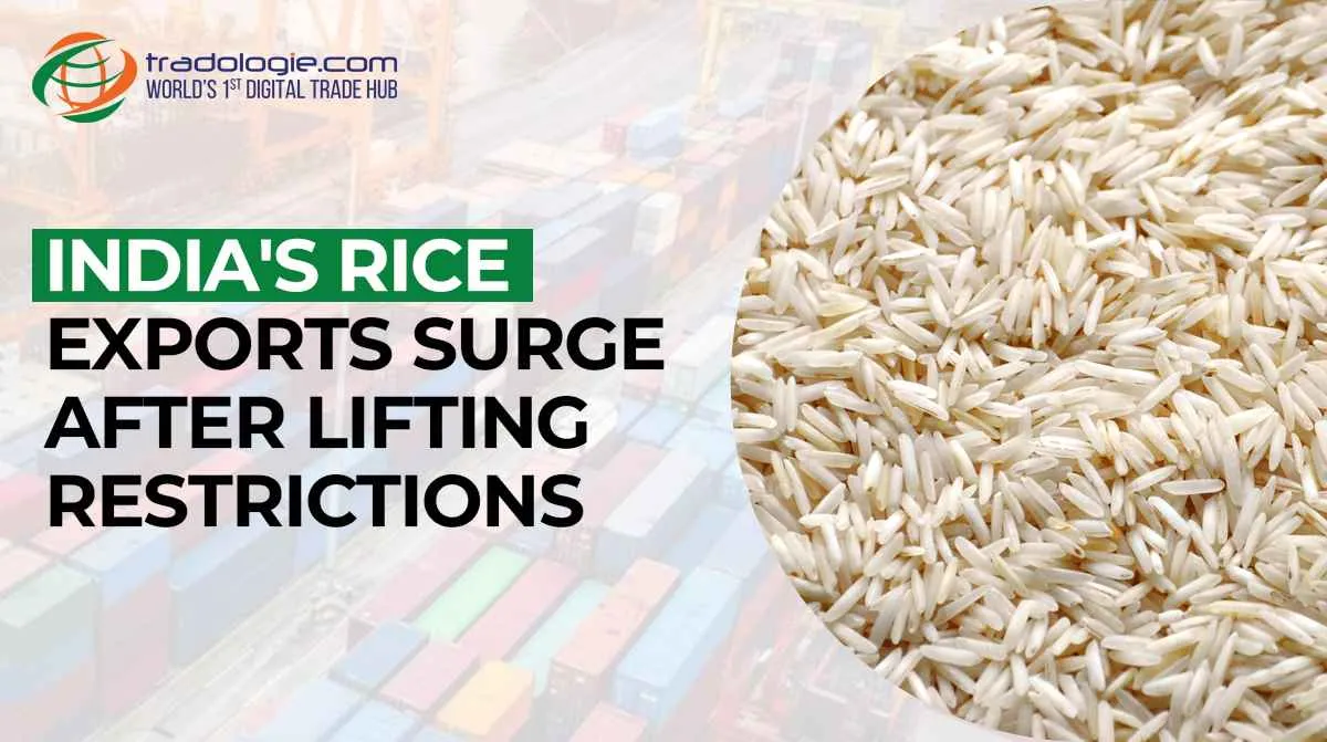 India's Rice Exports Surge after Lifting Restrictions