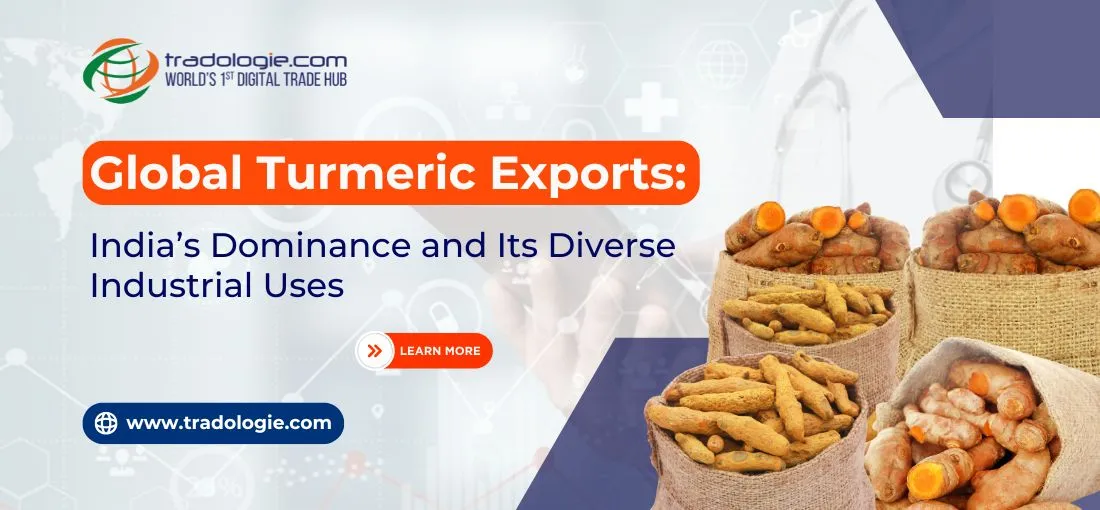 Global Turmeric Exports: India’s Dominance and Its Diverse Industrial Uses
